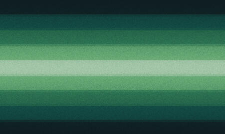 Epographic : A xenogender connected to old , “bad/poor” animation and video game graphics . it is a general label and may relate to the silly, comforting, nostalgic, and/or liminal aspects of old graphics .