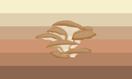 Mushroom Person - "An Identity label for people who feel like sentient fungi or mushrooms."
