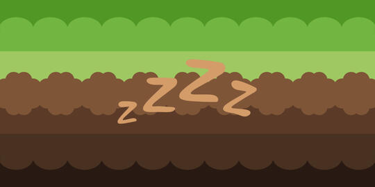 Somnusaft : A gender connected to falling asleep while listening to Minecraft’s OST, it may also relate to feelings of comfort and nostalgia