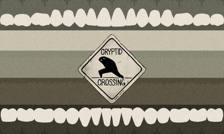 Cryptidcoric : a gender connected to cryptidcore, cryptids in general and all things associated with them